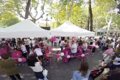 mechones-solidarios-150