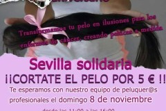 mechones-solidarios-72